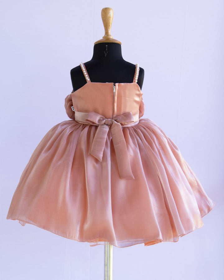 Dusty Peach Colour Premium Organza shaded Baby-Girls Flower Frock kids dresses Birthday frocks Stanwells Kids 1 year Partywear