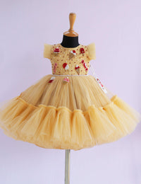 Golden Candy Popsicle Theme Handwork Applique Birthday Frock for Baby Girl – Stanwells Kids