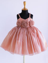 Dusty Peach Premium Organza Shaded Flower Birthday Frock for Baby Girl – Stanwells Kids