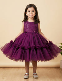 Purple Embroidery Ruffles Birthday Frock for Baby Girl – Stanwells Kids