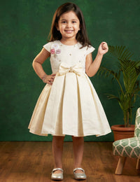 Cream Silky Satin Box Pleated Western Style Birthday Frock for Baby Girl – Stanwells Kids