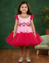 Baby Pink Rani Pink Handwork Flower Birthday Frock for Baby Girl – Stanwells Kids