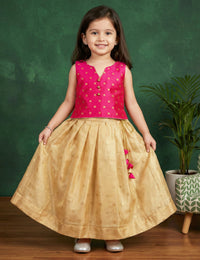 Light Gold Magenta Tissue Lehenga Choli for Baby Girl – Stanwells Kids