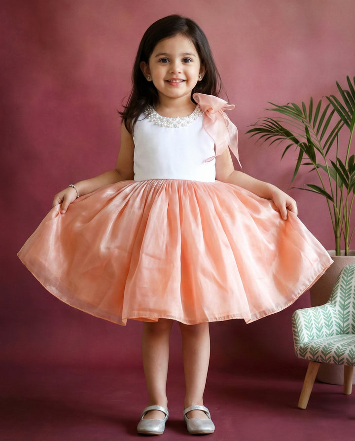 Dust Pink and White Premium Organza Frock – Stylish Shaded Birthday Dress for Baby Girls by Stanwells Kids