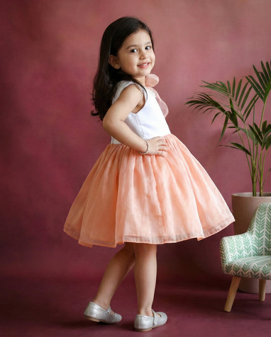 Dust pink white organza shaded frock side view – Stanwells Kids