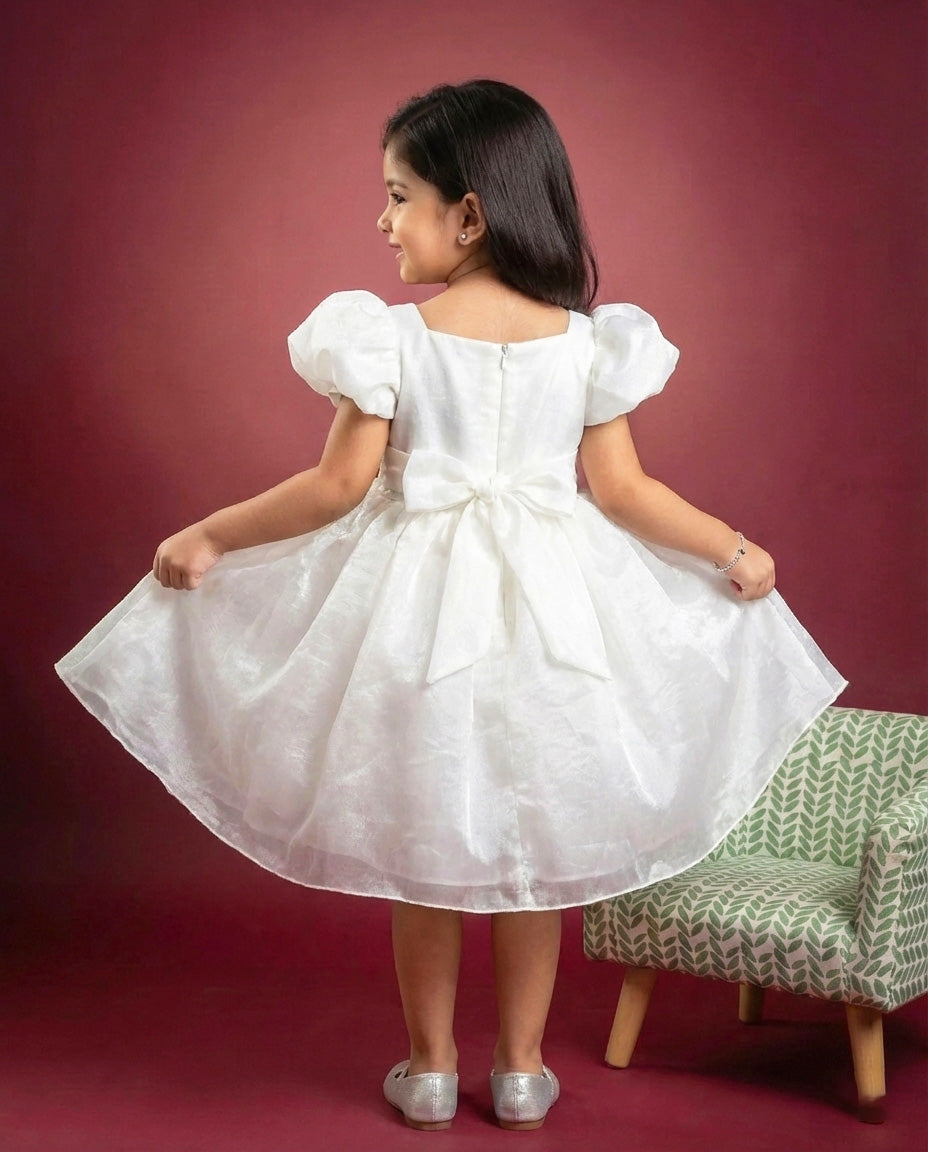 white christmas dresses White Organza Cherry Embroidery Baby Girls Birthday Dress