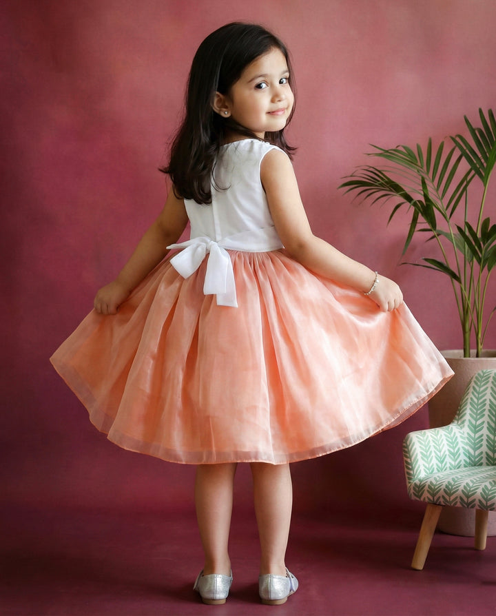 Dust Pink and White Premium Organza Frock – Stylish Shaded Birthday Dress for Baby Girls by Stanwells Kids