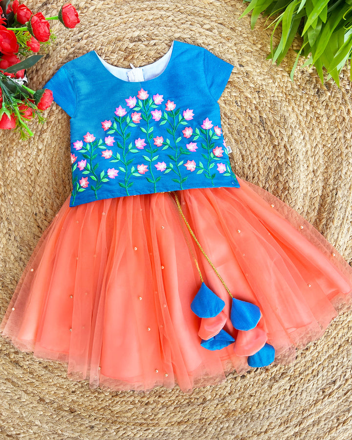 Coral Peach Blue Hand Embroidery Skirt and Top - Baby Girl Birthday Dress