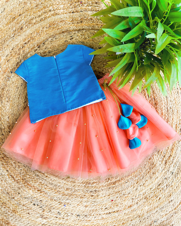 Coral Peach Blue Hand Embroidery Skirt and Top - Baby Girl Birthday Dress