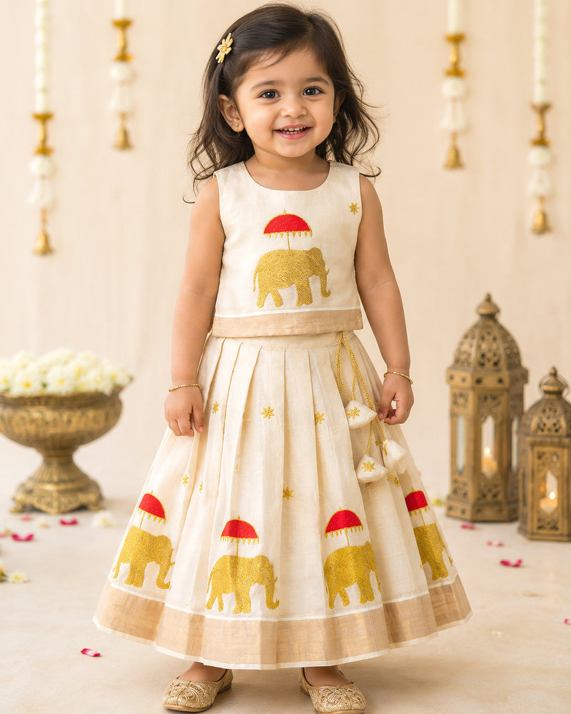 Elephant Embroidery Kerala Lehenga Choli for Baby Girl – Stanwells Kids