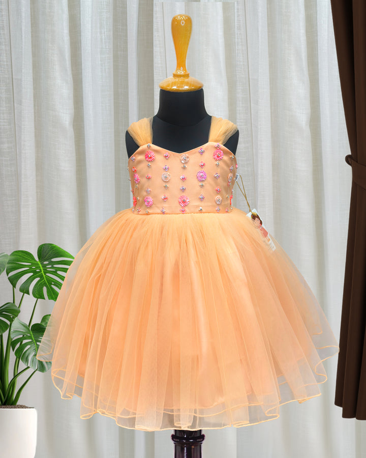 light peach sequins birthday dress for baby girls

baby girl partywear frock with sequins handwork

premium peach birthday frock for toddlers

baby girls festive party dress peach color

kids birthday dress with hand embroidery