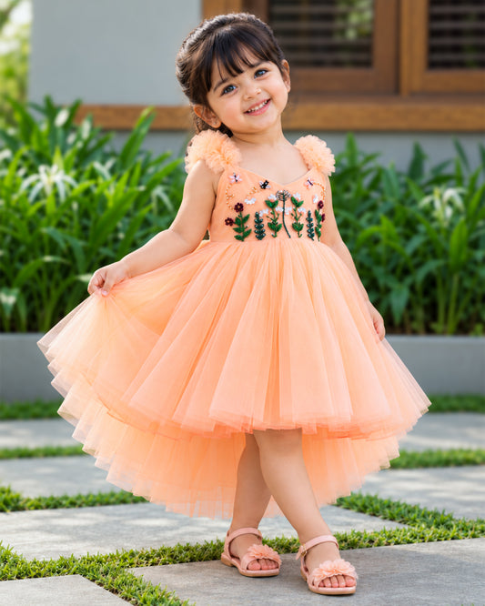 Pastel Peach Blossom Fairy Tail Frock for Baby Girl – Stanwells Kids
