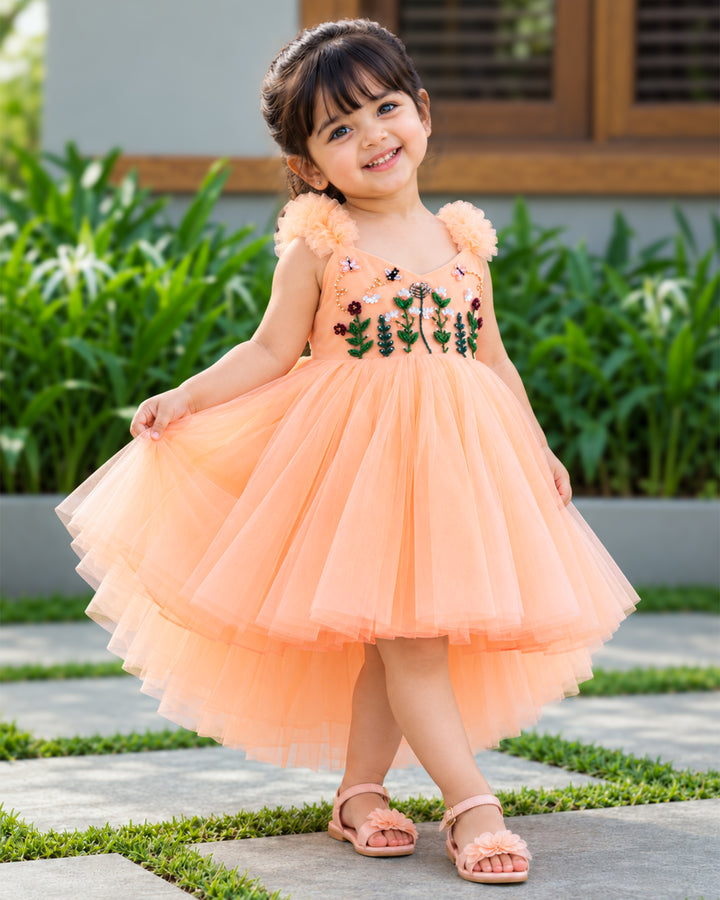 Pastel Peach Blossom Fairy Tail Frock for Baby Girl – Stanwells Kids