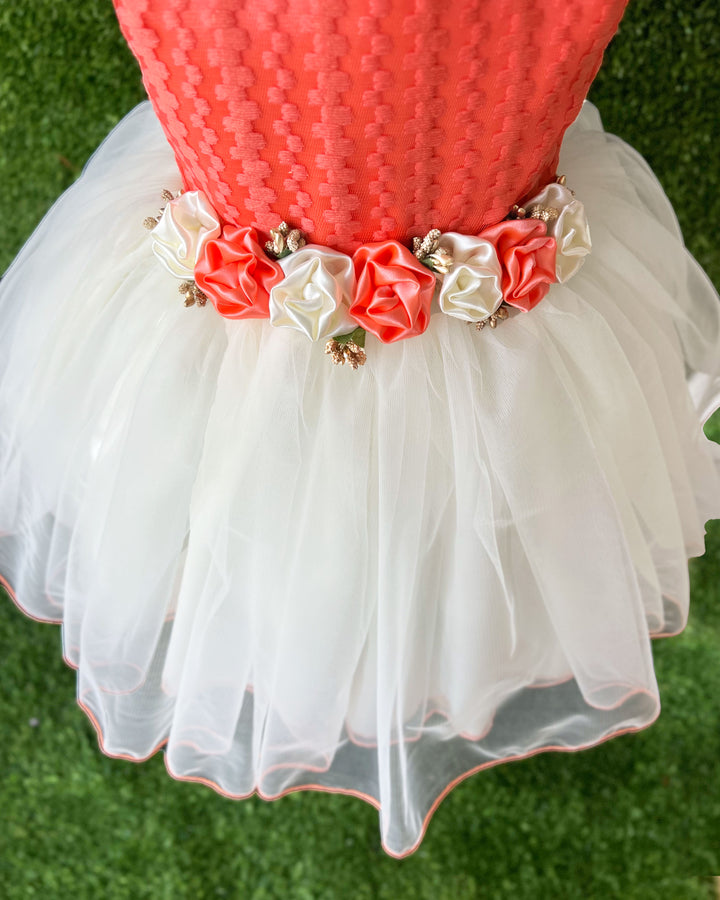Baby girls birthday dress peach cream, flower frock, party outfit

