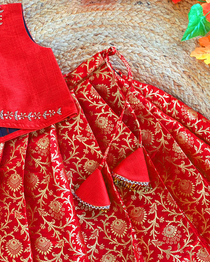 Baby girls red Banarasi jacquard handwork lehenga choli birthday dress