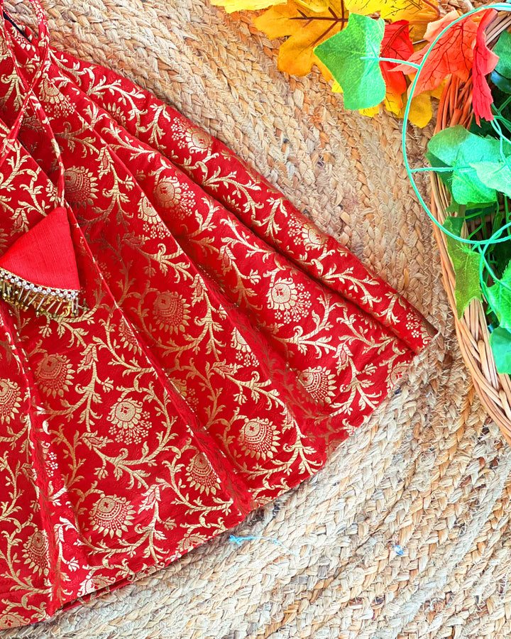 Baby girls red Banarasi jacquard handwork lehenga choli birthday dress