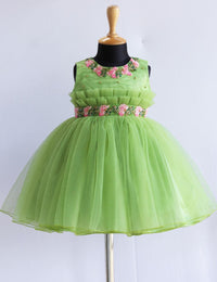 Pista Green Flower Handwork Pleated Partywear Frock